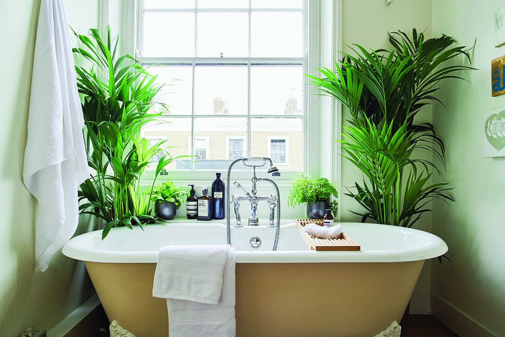 From the book At Home With Plants by Ian Drummond, photo by Nick Pope, clawfoot bathtub with plants and bath decor